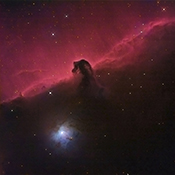 B33