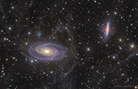 Orion by Susan Carroll